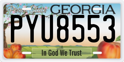 GA license plate PYU8553