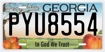 GA license plate PYU8554