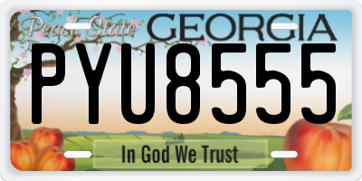 GA license plate PYU8555
