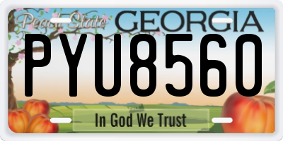 GA license plate PYU8560