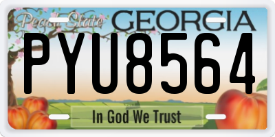 GA license plate PYU8564