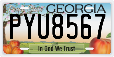 GA license plate PYU8567