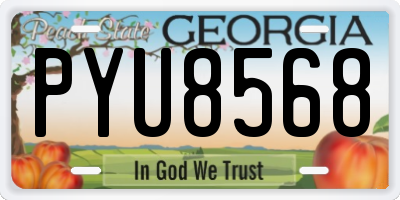 GA license plate PYU8568