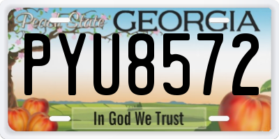 GA license plate PYU8572