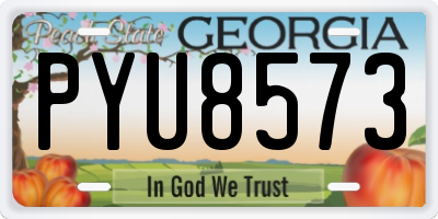 GA license plate PYU8573