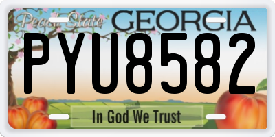 GA license plate PYU8582