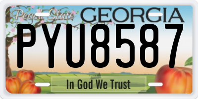 GA license plate PYU8587