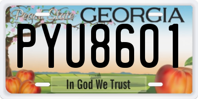 GA license plate PYU8601