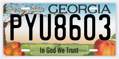 GA license plate PYU8603