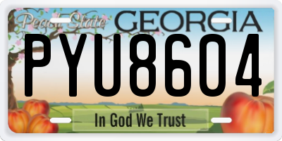 GA license plate PYU8604