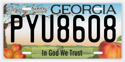 GA license plate PYU8608