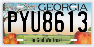 GA license plate PYU8613