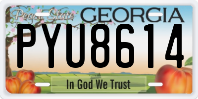 GA license plate PYU8614