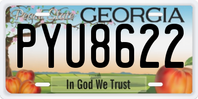 GA license plate PYU8622