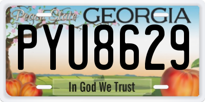 GA license plate PYU8629