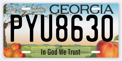 GA license plate PYU8630