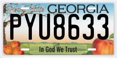 GA license plate PYU8633