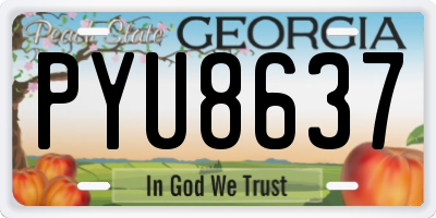 GA license plate PYU8637