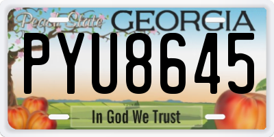 GA license plate PYU8645