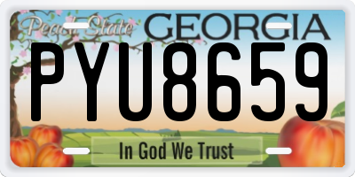 GA license plate PYU8659