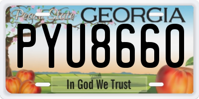 GA license plate PYU8660