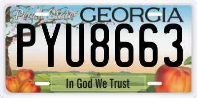 GA license plate PYU8663