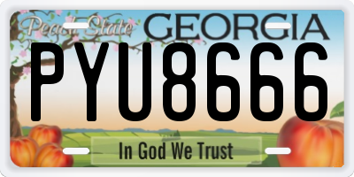 GA license plate PYU8666