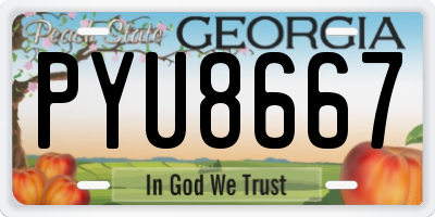 GA license plate PYU8667
