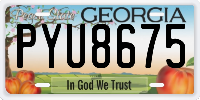 GA license plate PYU8675