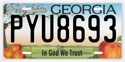GA license plate PYU8693
