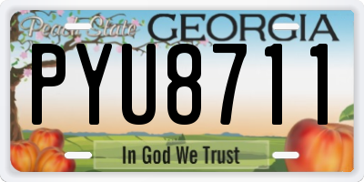 GA license plate PYU8711