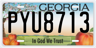 GA license plate PYU8713