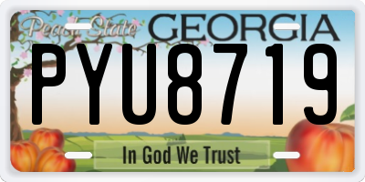 GA license plate PYU8719