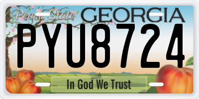 GA license plate PYU8724