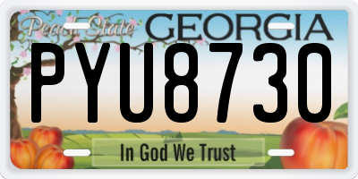 GA license plate PYU8730