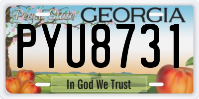 GA license plate PYU8731
