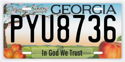 GA license plate PYU8736