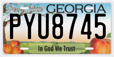 GA license plate PYU8745