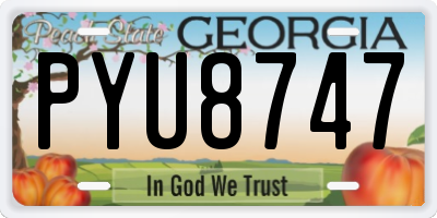 GA license plate PYU8747