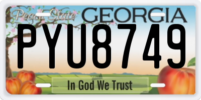 GA license plate PYU8749
