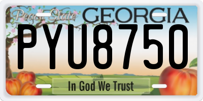 GA license plate PYU8750