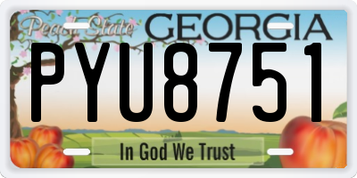 GA license plate PYU8751