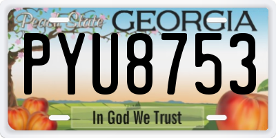 GA license plate PYU8753
