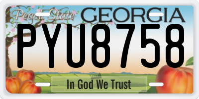 GA license plate PYU8758