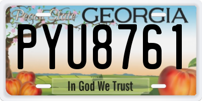 GA license plate PYU8761