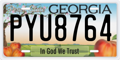 GA license plate PYU8764