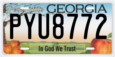 GA license plate PYU8772