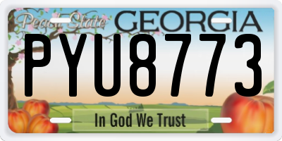 GA license plate PYU8773
