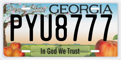 GA license plate PYU8777