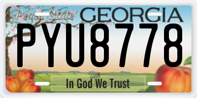 GA license plate PYU8778